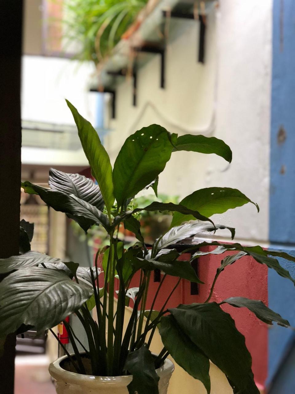 La Ventana Modern House Apartman Hai Phong Kültér fotó